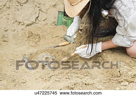 Stock Photography - Archaeologist excavating a skull. Fotosearch
