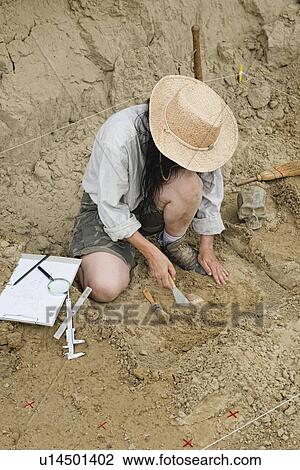 Archaeologist excavating pottery View Large Photo Image Stock Image - Archaeologist excavating pottery. Fotosearch