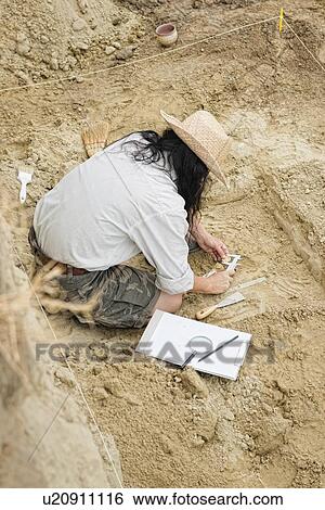Archaeologist measuring excavated coin View Large Photo Image Stock Photograph - Archaeologist measuring excavated coin. Fotosearch