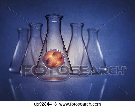 Stock Image - Assisted reproduction research, conceptual illustration. Fotosearch