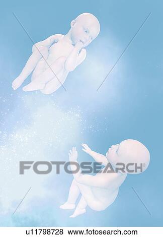 Stock Photo - Babies floating, illustration. Fotosearch