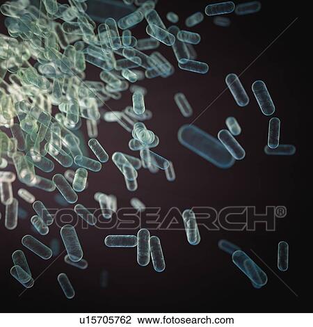 Bacteria, illustration View Large Photo Image Stock Image - Bacteria, illustration. Fotosearch