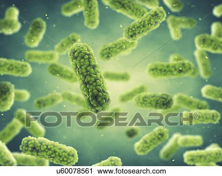 Stock Image - Bacteria, illustration.. Fotosearch