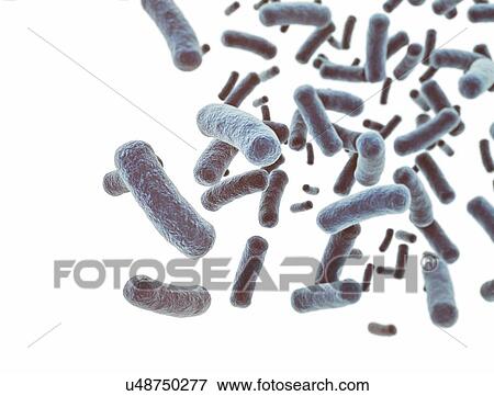 Bacteria, illustration View Large Photo Image Stock Photo - Bacteria, illustration. Fotosearch