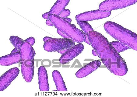 Picture - Bacteria of donovanosis infection, illustration. Fotosearch