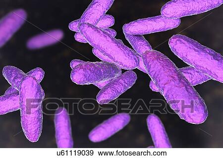 Stock Photo - Bacteria of donovanosis infection, illustration. Fotosearch