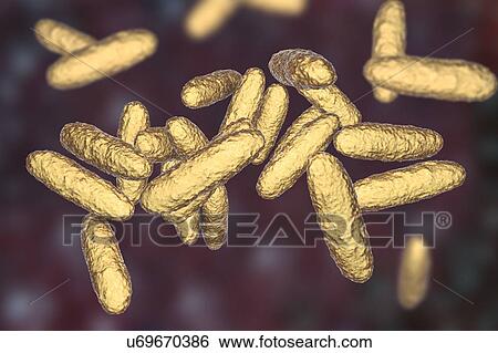 Stock Photograph - Bacteria of donovanosis infection, illustration. Fotosearch