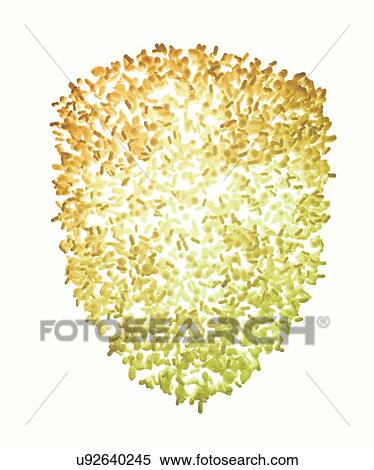 Stock Photography - Bacteria shield, illustration. Fotosearch