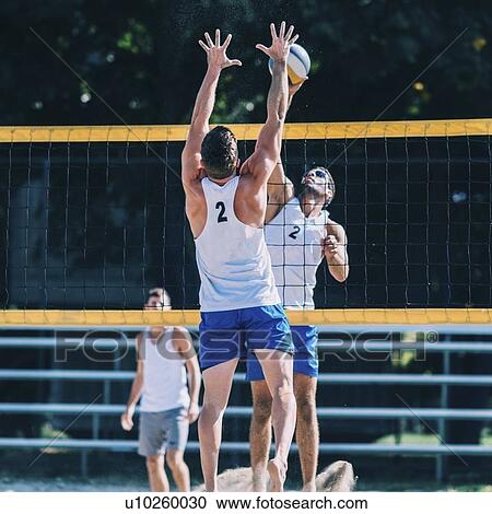 Beach volleyball team View Large Photo Image Stock Image - Beach volleyball team. Fotosearch