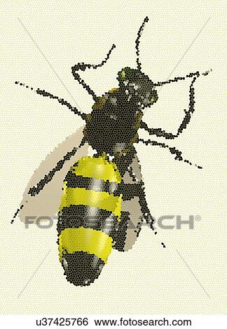 Bee against a white background, illustration. View Large Photo Image Stock Photograph - Bee against a white background, illustration.. Fotosearch