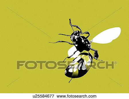 Stock Photo - Bee against a yellow background, illustration.. Fotosearch