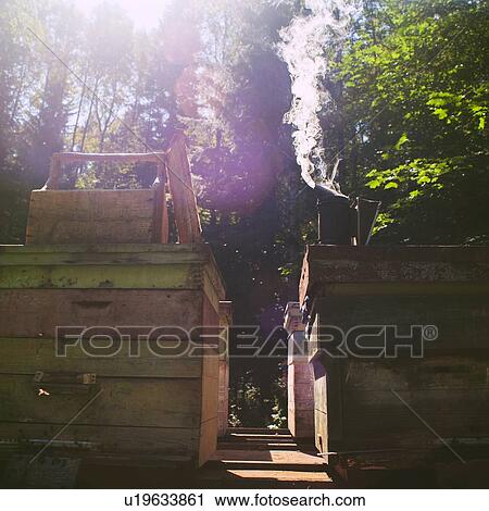 Stock Image - Bee smoker on beehive in farm, Ural, Bashkortostan, Russia. Fotosearch