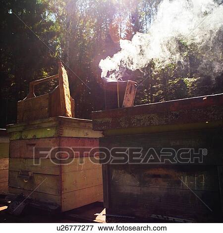 Stock Photo - Bee smoker on beehive in farm, Ural, Bashkortostan, Russia. Fotosearch