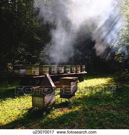 Stock Photo - Beehive farm, Ural, Bashkortostan, Russia. Fotosearch