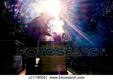 Beekeeper smoking beehive in farm, Ural, Bashkortostan, Russia View Large Photo Image Stock Image - Beekeeper smoking beehive in farm, Ural, Bashkortostan, Russia. Fotosearch