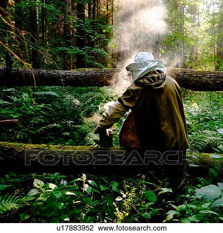 Beekeeper with bee smoker in forest, Ural, Bashkortostan, Russia View Large Photo Image Stock Image - Beekeeper with bee smoker in forest, Ural, Bashkortostan, Russia. Fotosearch