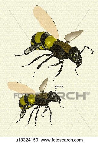 Stock Image - Bees against a white background, illustration.. Fotosearch