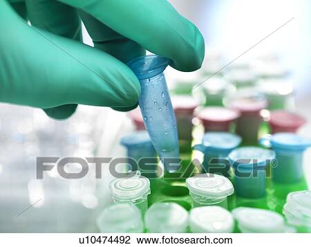 Stock Image - Biological research. Fotosearch