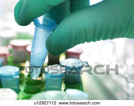 Biological research View Large Photo Image Stock Image - Biological research. Fotosearch