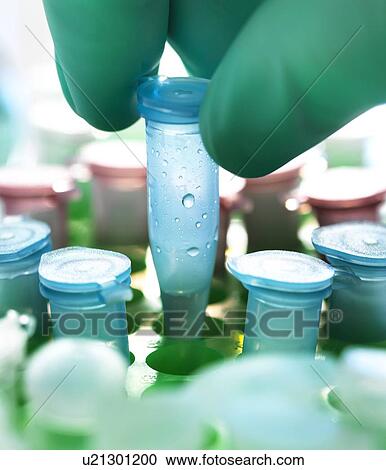 Stock Image - Biological research. Fotosearch