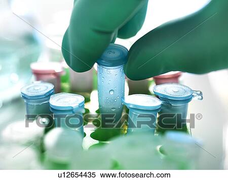 Stock Photography - Biological research. Fotosearch