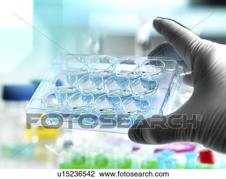 Biotechnology research View Large Photo Image Stock Image - Biotechnology research. Fotosearch