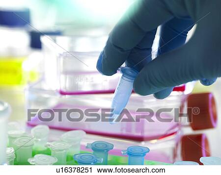 Stock Image - Biotechnology research. Fotosearch
