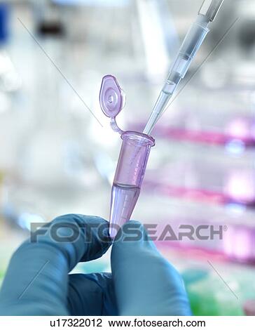 Biotechnology research View Large Photo Image Stock Image - Biotechnology research. Fotosearch