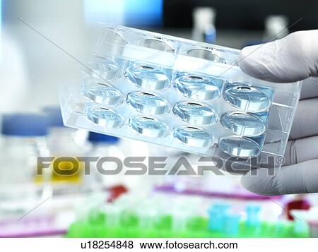 Biotechnology research View Large Photo Image Stock Photo - Biotechnology research. Fotosearch