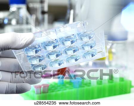 Stock Photography - Biotechnology research. Fotosearch