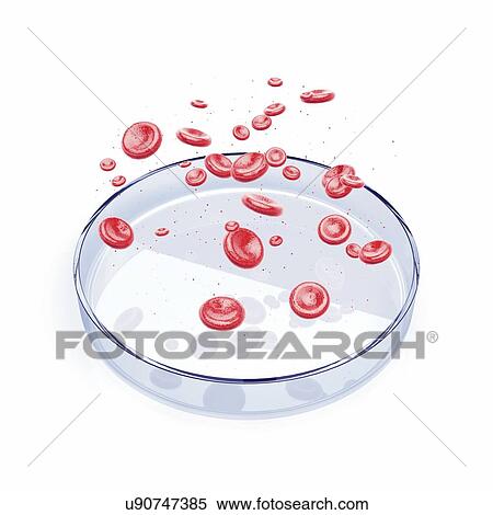 Blood research, conceptual illustration View Large Photo Image Stock Photography - Blood research, conceptual illustration. Fotosearch