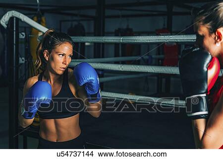 Boxing training View Large Photo Image Picture - Boxing training. Fotosearch