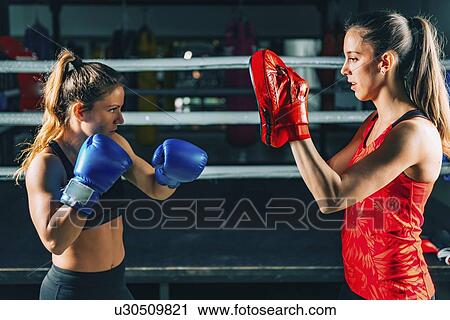 Boxing training View Large Photo Image Stock Image - Boxing training. Fotosearch
