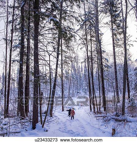 Stock Image - Boy and girl walking through snow covered forest, rear view. Fotosearch