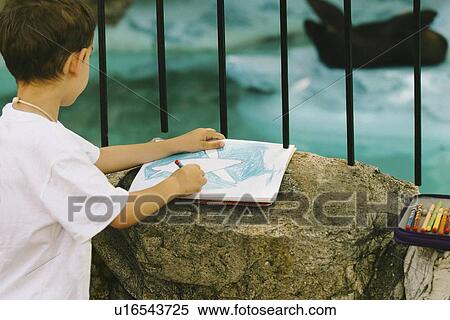 Boy drawing a seal View Large Photo Image Stock Photography - Boy drawing a seal. Fotosearch