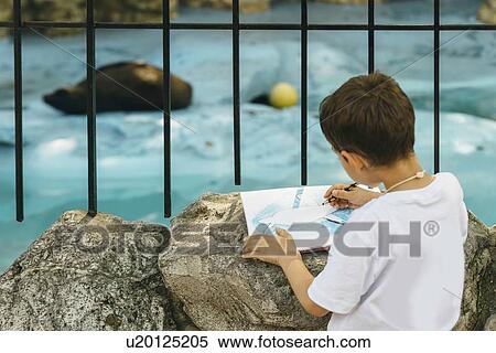 Stock Photography - Boy drawing a seal. Fotosearch
