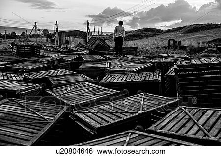 Stock Photograph - Boy on wooden crates, Ural, Sverdlovsk, Russia. Fotosearch