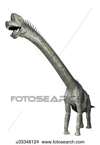 Brachiosaurus against a white background, illustration. View Large Photo Image Picture - Brachiosaurus against a white background, illustration.. Fotosearch