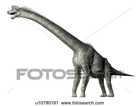 Brachiosaurus against a white background, illustration. View Large Photo Image Stock Image - Brachiosaurus against a white background, illustration.. Fotosearch