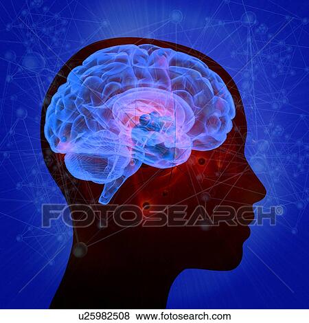 Brain atoms, illustration View Large Photo Image Stock Photo - Brain atoms, illustration. Fotosearch