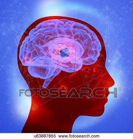 Stock Photography - Brain atoms, illustration. Fotosearch