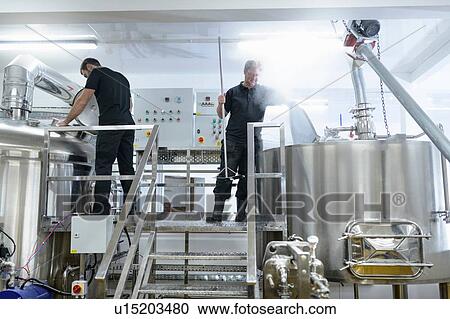Stock Image - Brewer inspecting brew mix in small brewery. Fotosearch