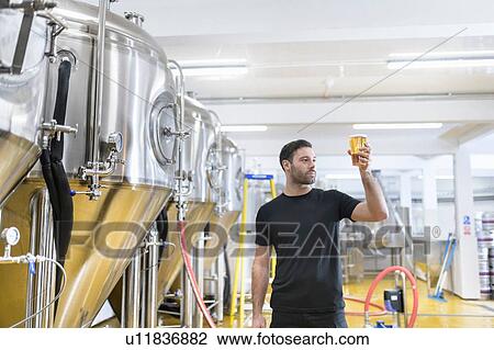 Stock Image - Brewer inspecting glass of beer in small brewery. Fotosearch