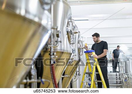 Stock Image - Brewer inspecting sample of beer from tank in small brewery. Fotosearch