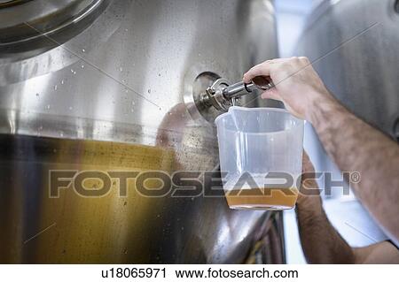 Stock Image - Brewer taking a sample of beer in small brewery. Fotosearch