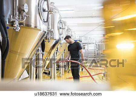 Stock Image - Brewer with pipe in small brewery. Fotosearch