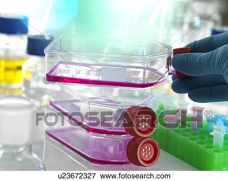 Stock Photo - Cell research. Fotosearch