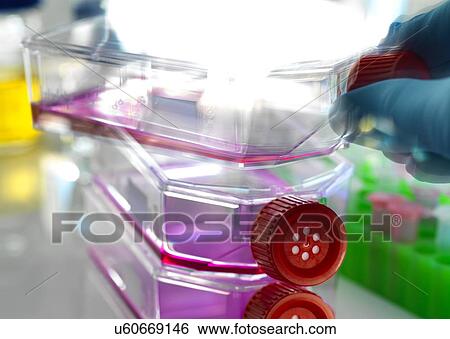 Cell research View Large Photo Image Stock Photograph - Cell research. Fotosearch