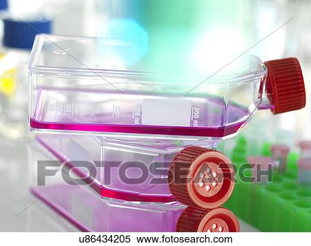 Cell research View Large Photo Image Stock Photography - Cell research. Fotosearch