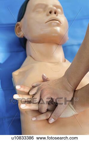 Chest compressions on CPR dummy View Large Photo Image Stock Photograph - Chest compressions on CPR dummy. Fotosearch